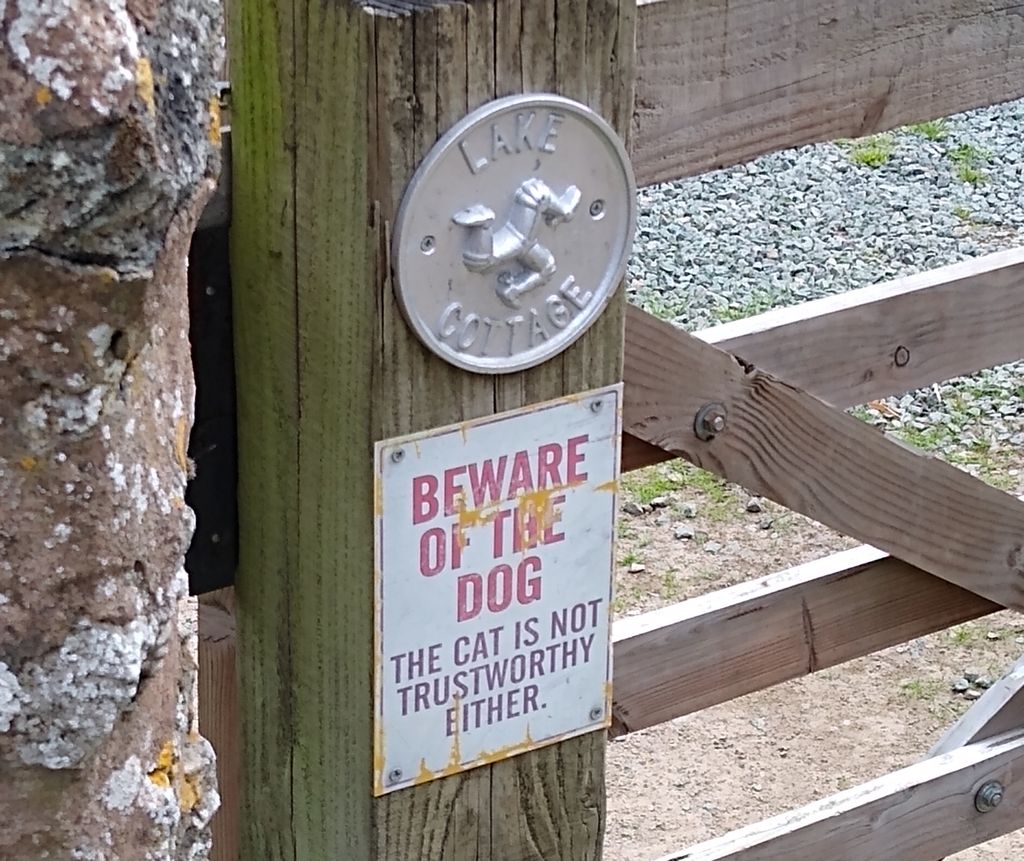 CANWOS Society Blog July